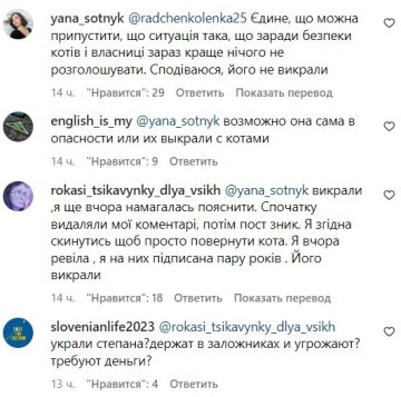 Комментарии под постом кота Степана. Фото Instagram