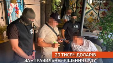ДБР затримало адвоката за шахрайство