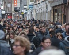 Личинок радять не торкатися: небезпечна епідемія охопила Європу