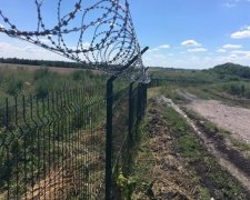 Ситник знайшов корупцію в "стіні Яценюка"