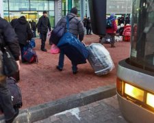 Ціле місто: в Польщі підрахували працьовитих українців
