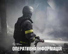 Пожежа на Одещині: рятувальники ДСНС гасять вогонь