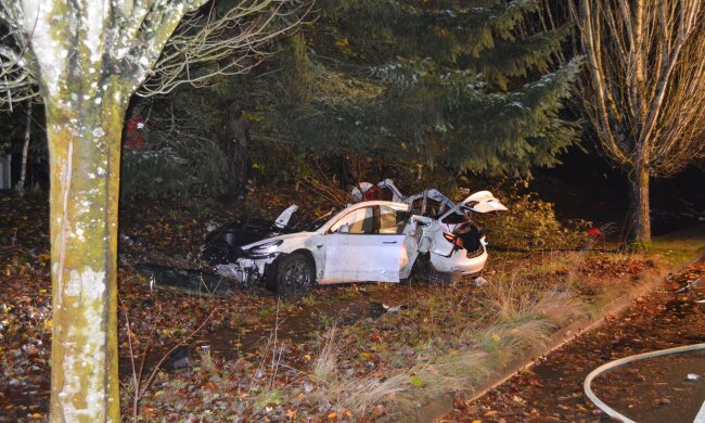 ДТП с Tesla, carscoops