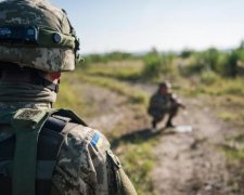 У лавах ЗСУ знайшли "щура" Путіна