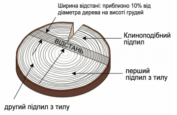 Інструкція: вид зверху / зображення УНІАН