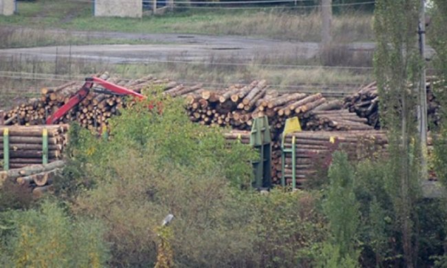 До вступления в силу запрета с Закарпатья впопыхах вывозят лес (фото)  