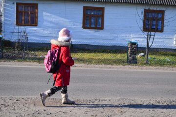 Українські школи, фото: volga.lutsk.ua