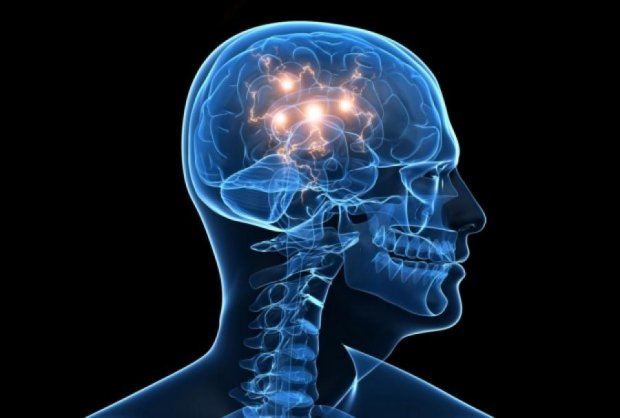 Ученые в США оживят мертвый мозг человека 