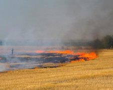 Ад на земле: украинский регион охватили жуткие пожары