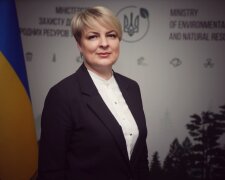 Правительство назначило Елену Крамаренко первым заместителем Министра защиты окружающей среды и природных ресурсов Украины