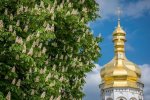 Київські каштани привітали українців з Днем Незалежності