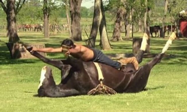 Туристам іспанського курорту пропонують незвичайну йогу