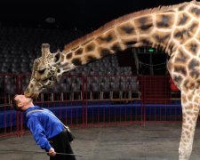 Скандал! Украинцев взбесила реакция циркачей-живодеров