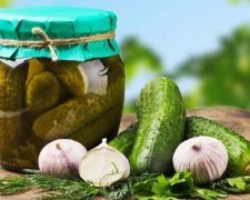 Бактерии ускорят потерю веса