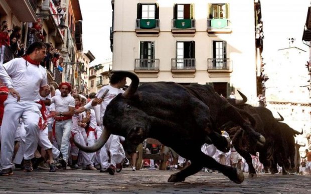 Величезний бик перетворив фестиваль на криваву м'ясорубку: відео