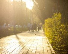 Синоптики пообещали украинцам солнечную пятницу
