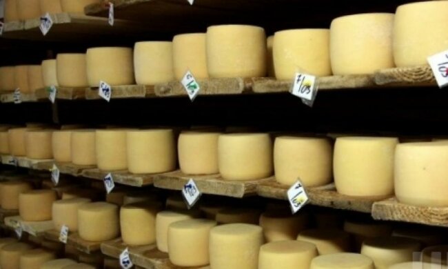 Сыр подорожает минимум на 15 гривен - эксперт