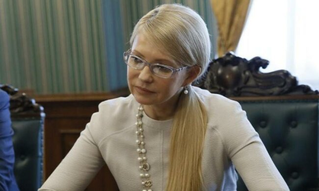 Волкер признался, о чем говорил с Тимошенко
