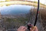 Криворожец поймал на крючок речного монстра — ростом с человека