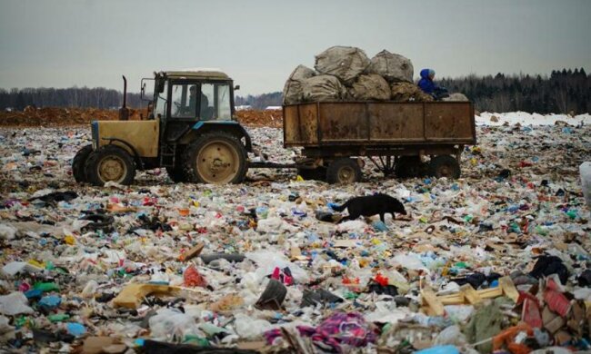 Боротьба з небезпечним сміттям: активісти нарвалися на путінських псів