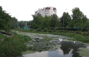 Прогноз погоди, скріншот з відео