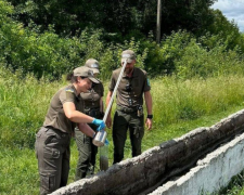 Держекоінспекція