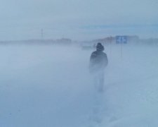 Снігова лавина знесла людей з перону – відео
