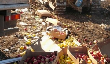 Росіяни розчавили 57 тонн білоруських яблук і ківі