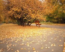 Последний месяц осени начнется солнечно