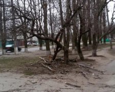 Из-за ненастья 6 областей в Украине обесточено