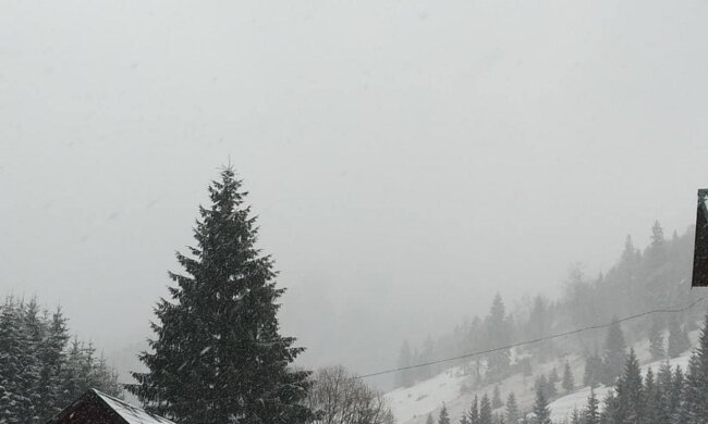 Первый снег в Карпатах, фото из соцсетей