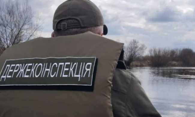 Знищені ліси та отруєні річки: екоінспектори викрили найгучніші екологічні злочини тижня