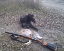 Соженные трупы: живодеры жестоко расправились с редкими животными