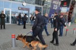 Львів атакували військові з собаками, поводяться дивно: що коїться