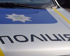 Поляки передали волинським поліцейським 38 машин (фото)
