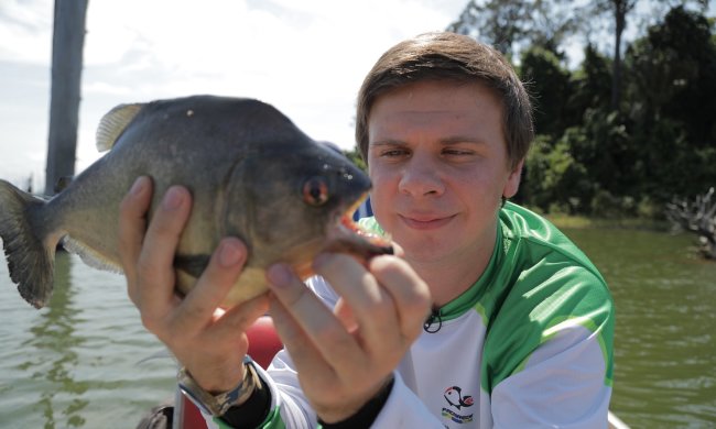 Дмитрий Комаров