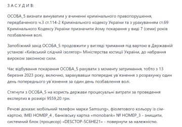 Вирок суду, скріншот: Єдиний державний реєстр судових рішень
