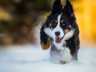 Погода в Україні, фото: 24 канал