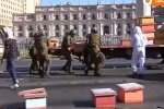 Митинг пасечников, фото: скриншот из видео