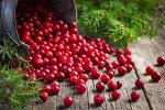 Луп Брусничник 5 вересня: історія і традиції свята