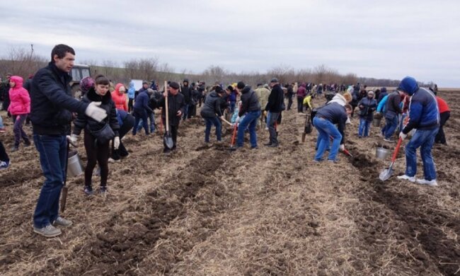 Держлісагентство озеленило Донеччину в пам'ять про загиблих воїнів
