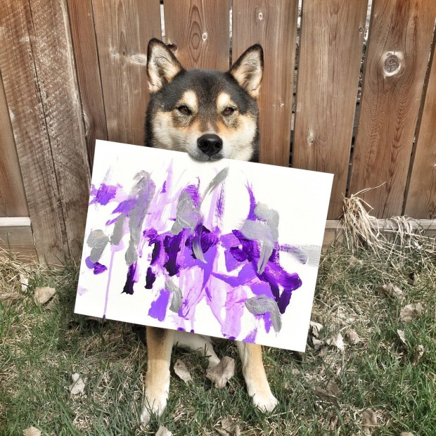 Невероятно, талантливый пес создает потрясающие картины. На продаже своих работ он получил уже 5000 долларов