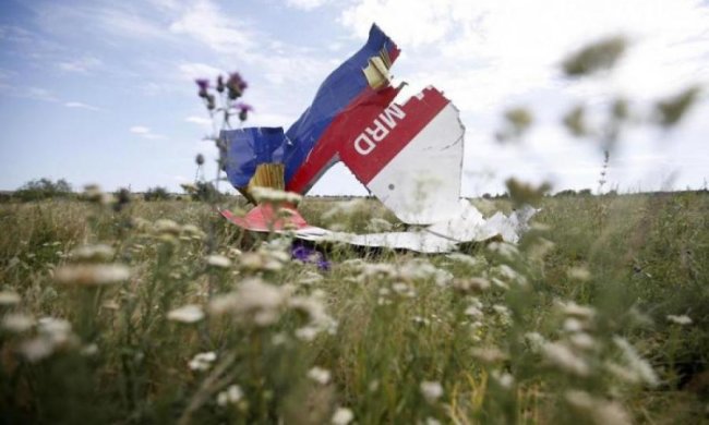 Катастрофа МН17: Нидерланды приняли судьбоносное решение