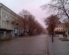 Одессит победил в чемпионате по лени с новогодней елкой