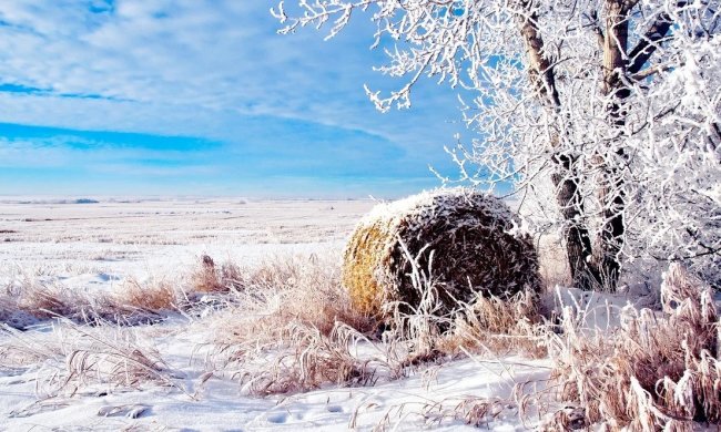Сегодня народный праздник Григорий Летоуказатель 23 января: поверья и приметы