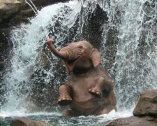 Слон показав усьому світу, як провести найкращий День Святого Валентина