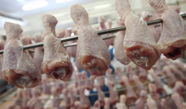 Украинская курятина попадет на рынки Египта