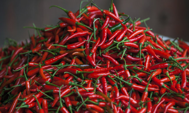 Перец чили