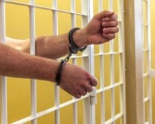 Активістів "Білого лева" арештували за педофілію
