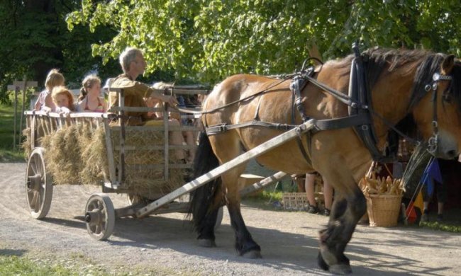 29 березня: яке сьогодні свято